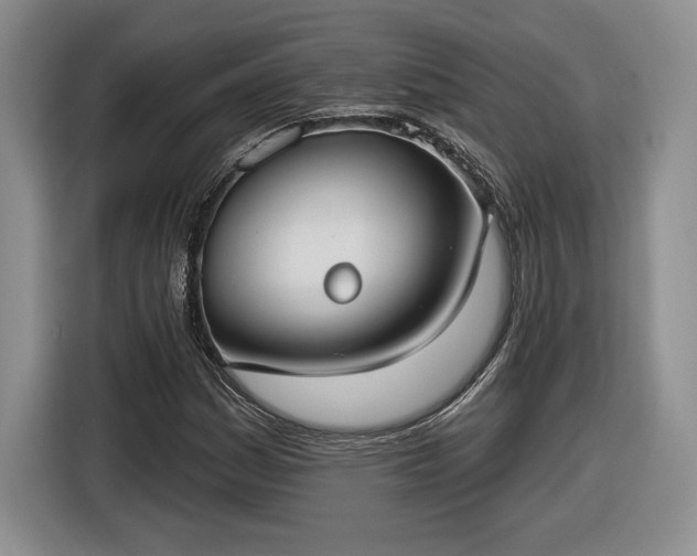 X0000116631161200912181319