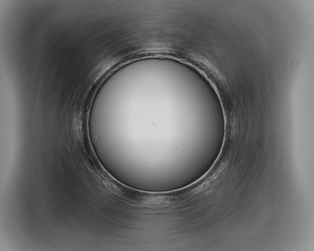 X0000116631162200912181319