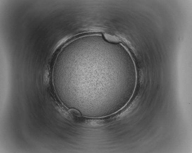 X0000116631163200912181319