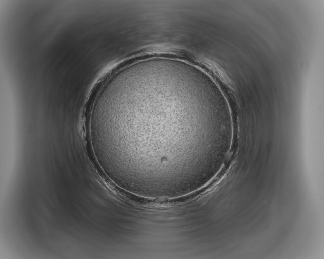 X0000116631164200912181319