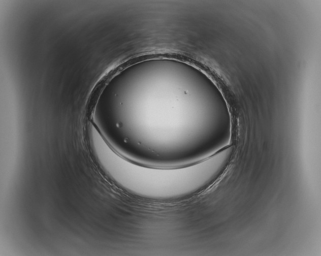 X0000116631165200912181319