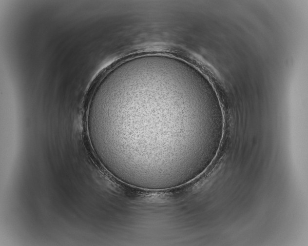 X0000116631166200912181319