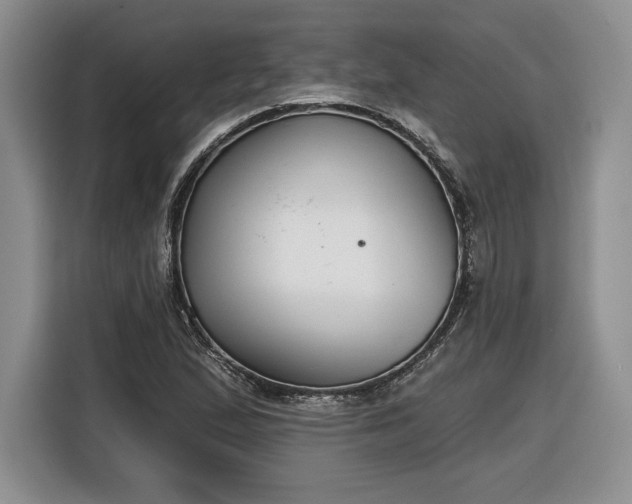 X0000116631167200912181319