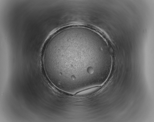 X0000116631168200912181319