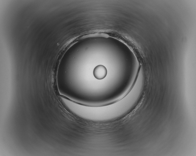 X0000116631169200912181319