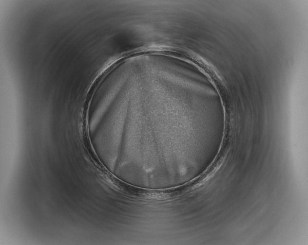 X0000116631170200912181319