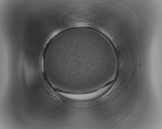 X0000116631171200912181319