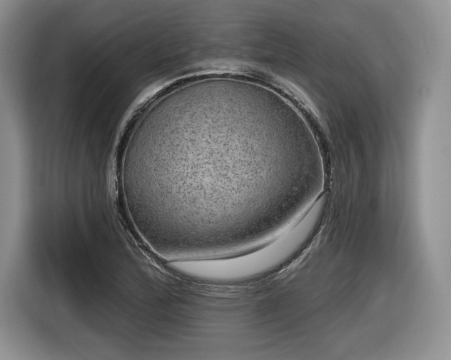 X0000116631172200912181319