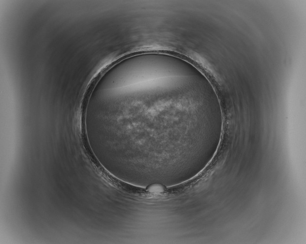 X0000116631173200912181319