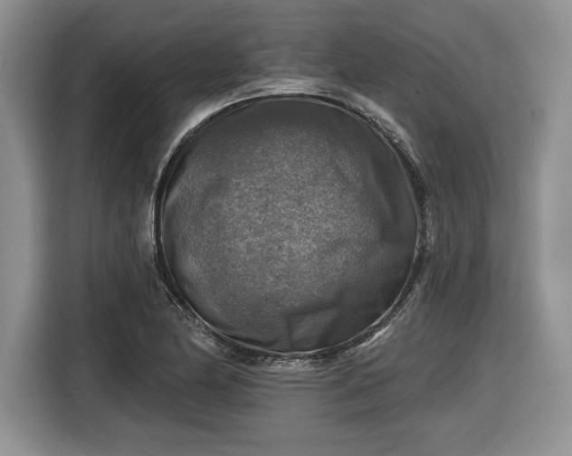 X0000116631174200912181319