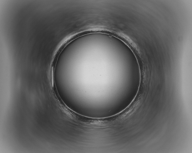 X0000116631175200912181319