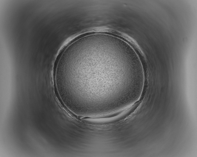 X0000116631176200912181319