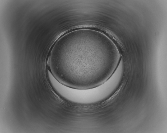 X0000116631177200912181319