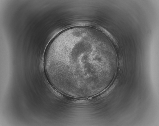 X0000116631178200912181319