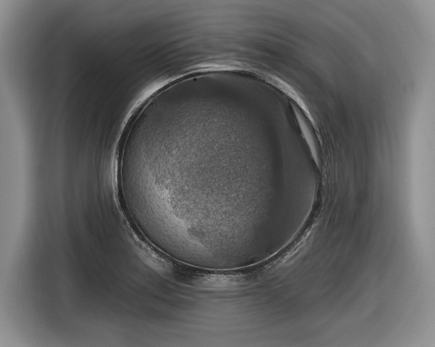 X0000116631179200912181319