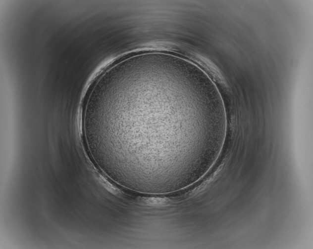 X0000116631180200912181319