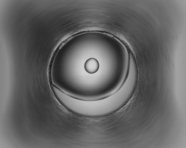 X0000116631181200912181319