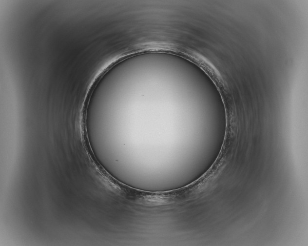 X0000116631182200912181319