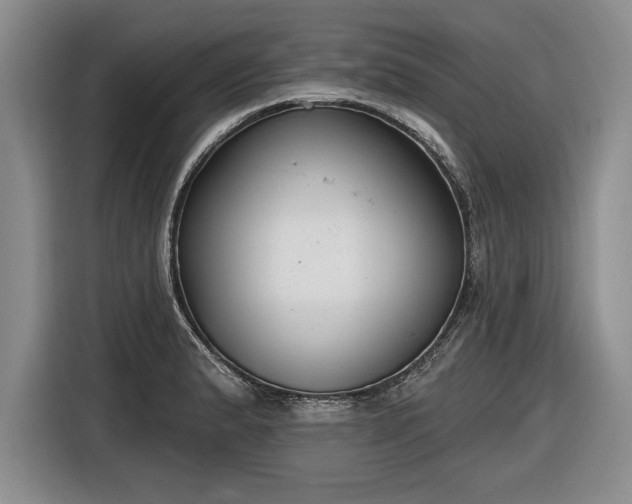 X0000116631183200912181319