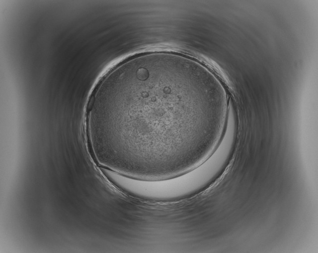 X0000116631184200912181319