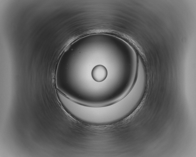 X0000116631185200912181319