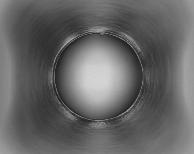 X0000116631186200912181319