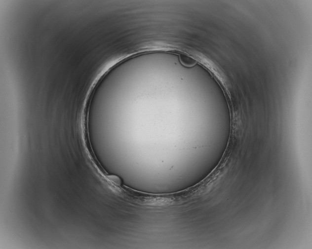 X0000116631187200912181319