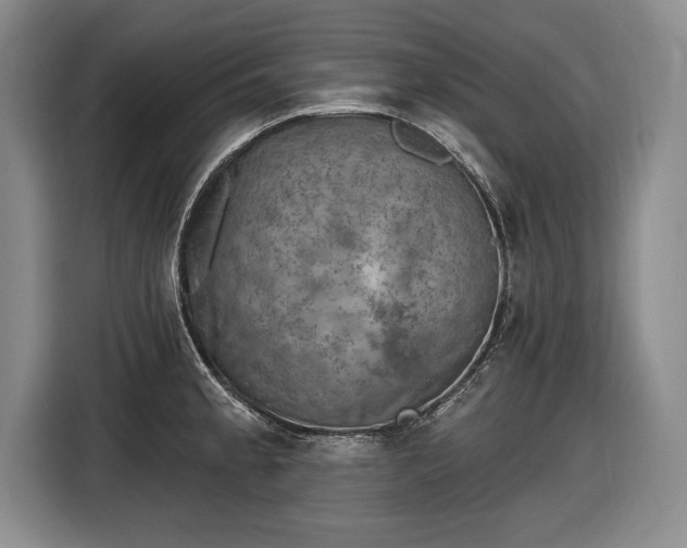 X0000116631189200912181319