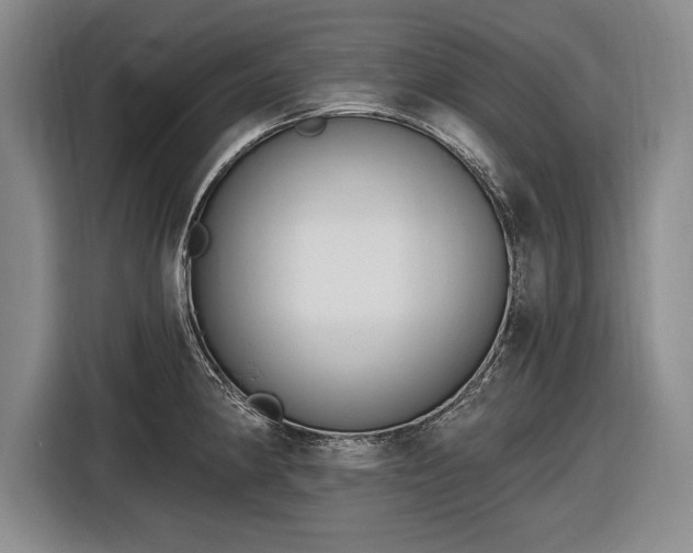 X0000116631190200912181319