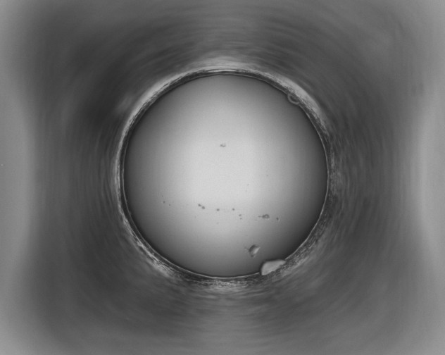 X0000116631191200912181319