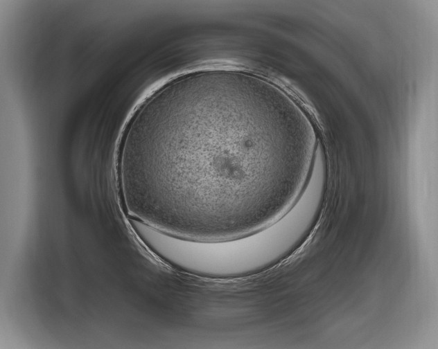 X0000116631192200912181319