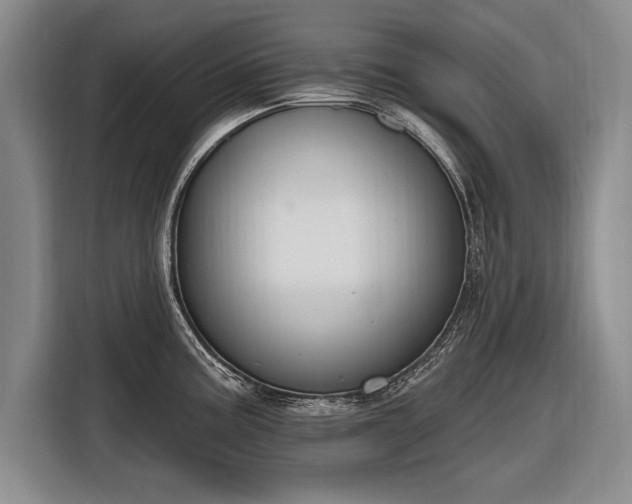 X0000116631195200912181319