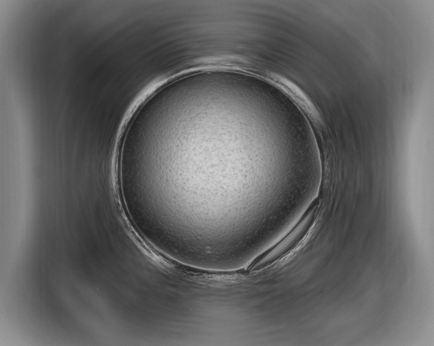 X0000116631196200912181319