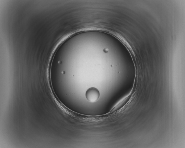 X0000116631197200912181319