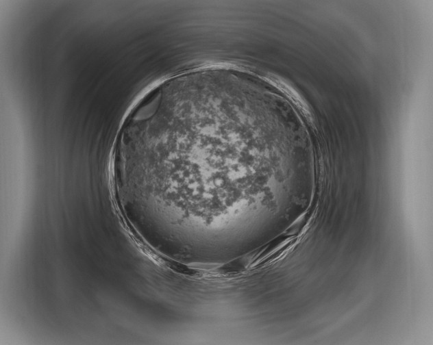 X0000116631198200912181319