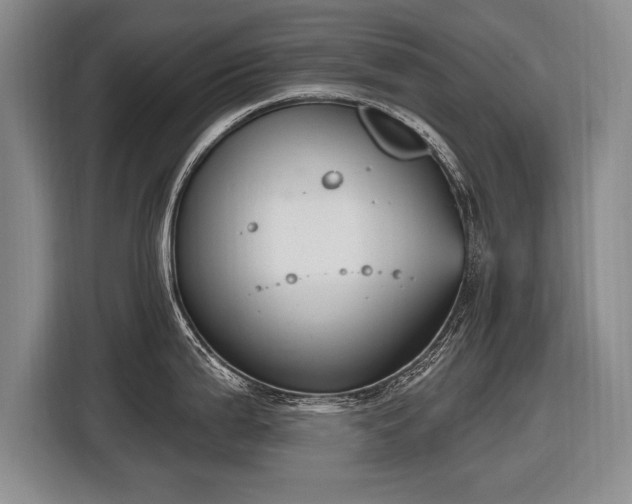 X0000116631199200912181318