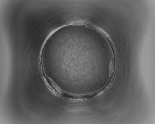 X0000116631200200912181318