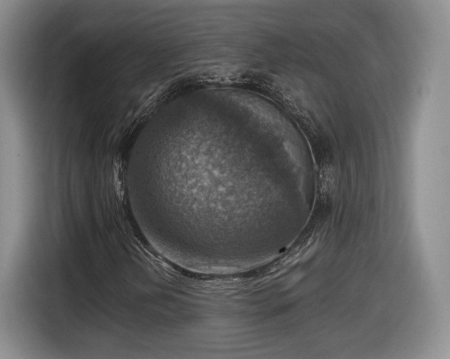 X0000116631202200912181318