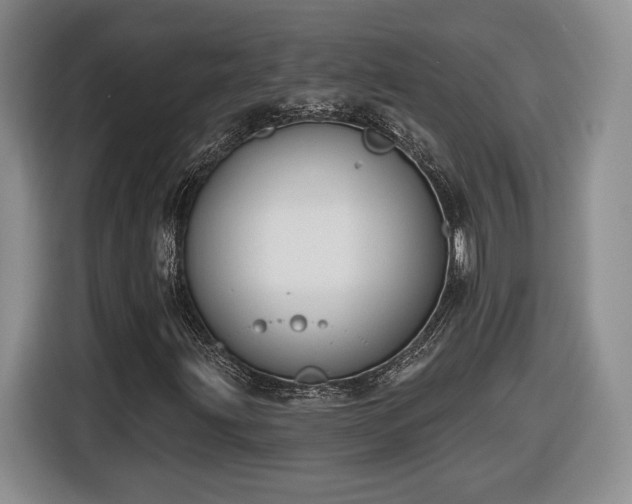 X0000116631203200912181318