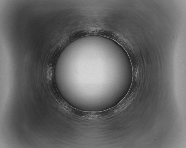 X0000116631204200912181318