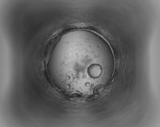 X0000116631205200912181318