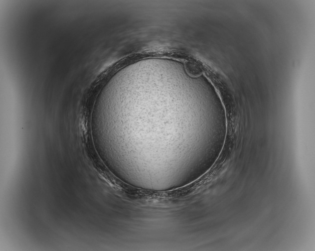 X0000116631206200912181318