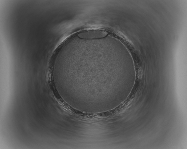 X0000116631208200912181318