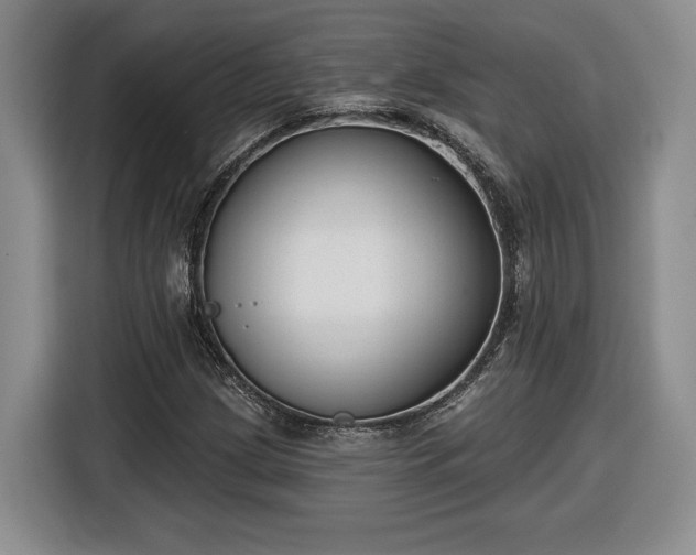 X0000116631209200912181318