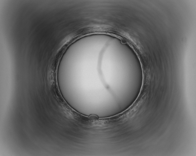 X0000116631211200912181318