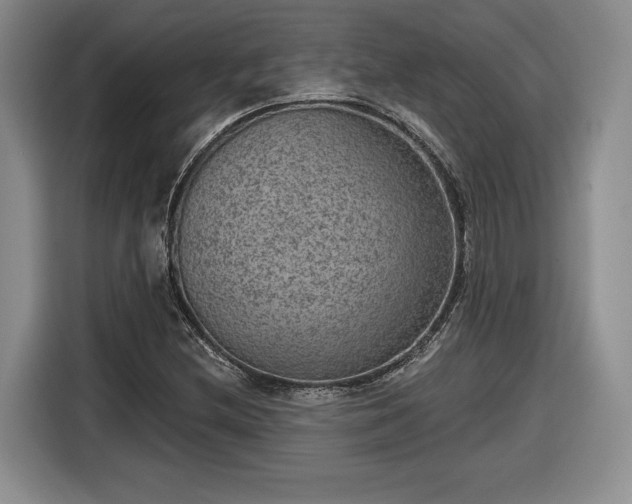 X0000116631212200912181318