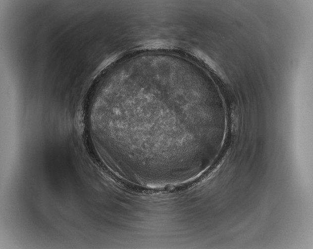 X0000116631213200912181318