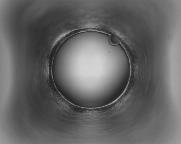 X0000116631214200912181318