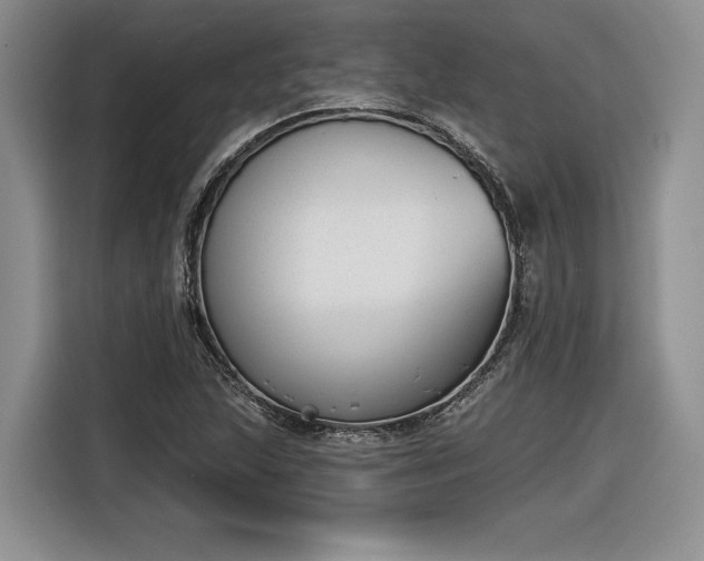 X0000116631215200912181318