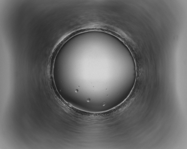 X0000116631216200912181318